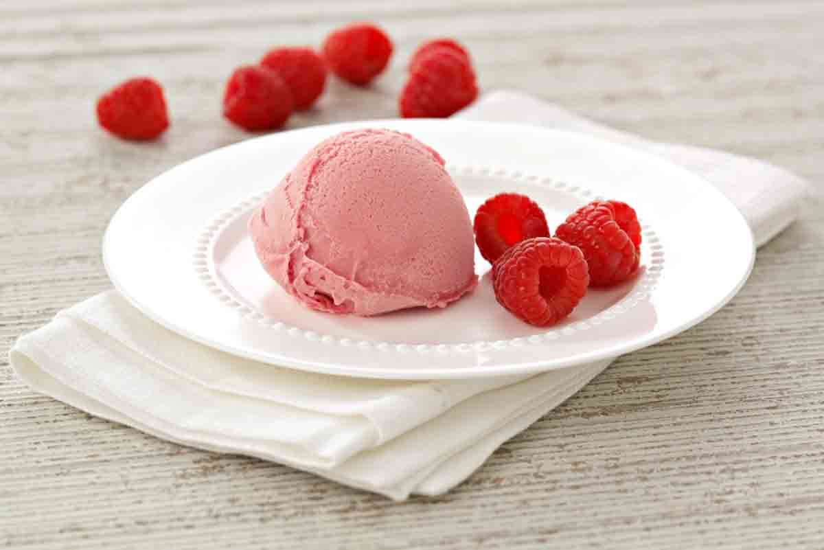 Wholesale Summertime Dairy Free Raspberry Sorbet 2 Litre ZSO015